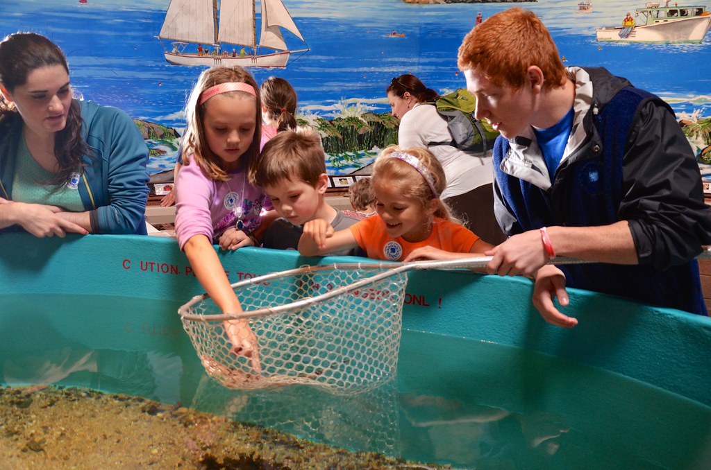 Children at aquarium touch tank